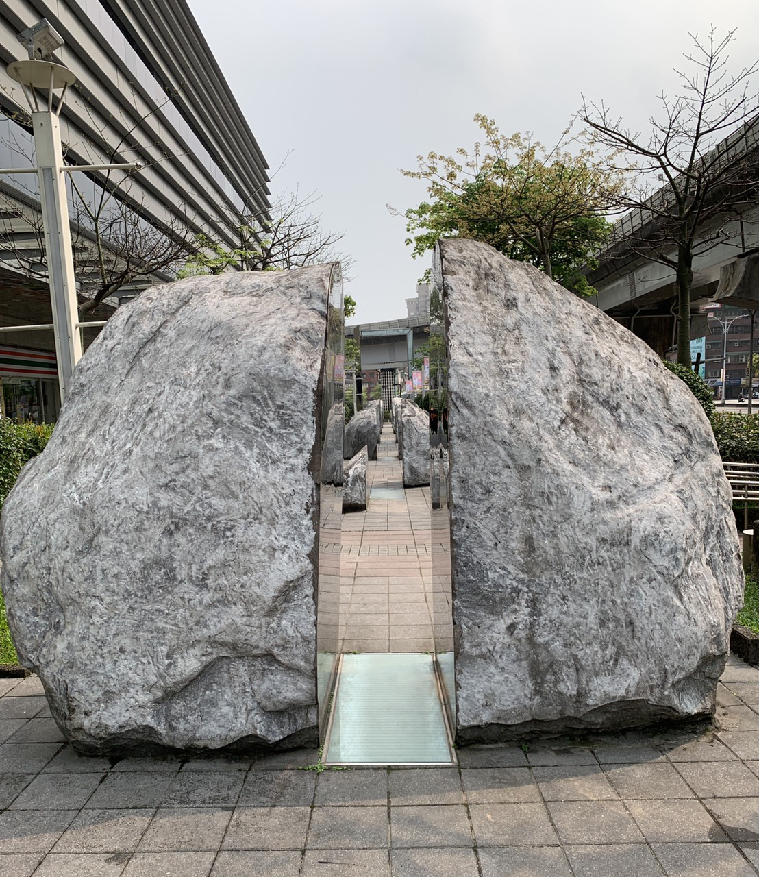 生命之舞