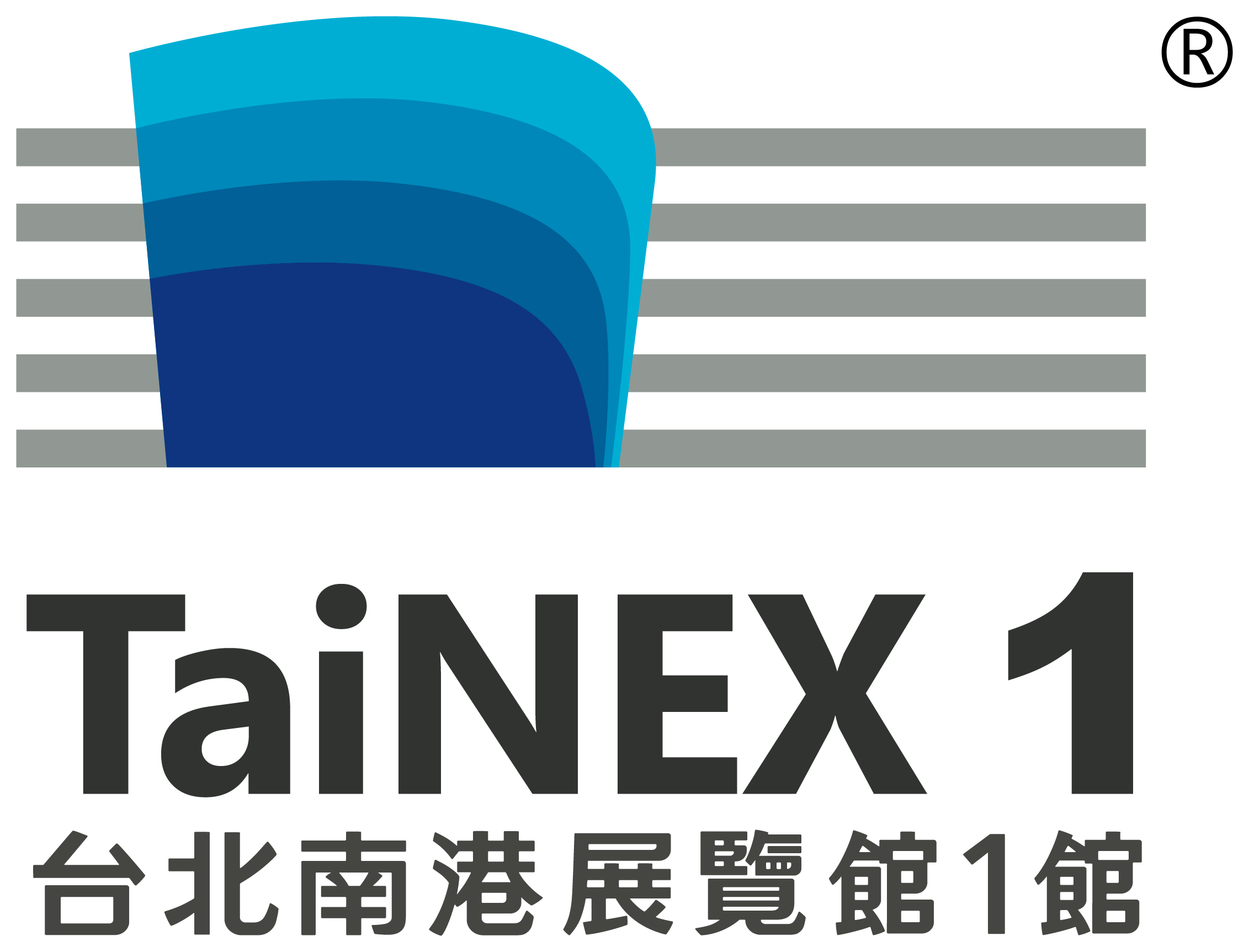 TaiNEX 1